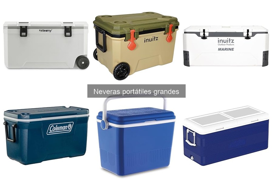 ¿Qué es una nevera portátil grande? Características y usos