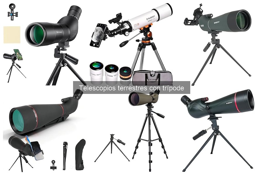 Telescopios terrestres con trípode ideales para la observación de aves