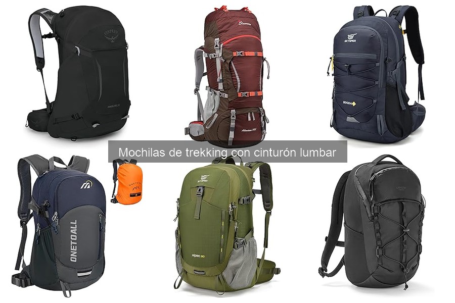 Tipos de mochilas de trekking con cinturón lumbar