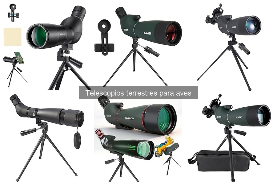 Tipos de telescopios terrestres para observación de aves