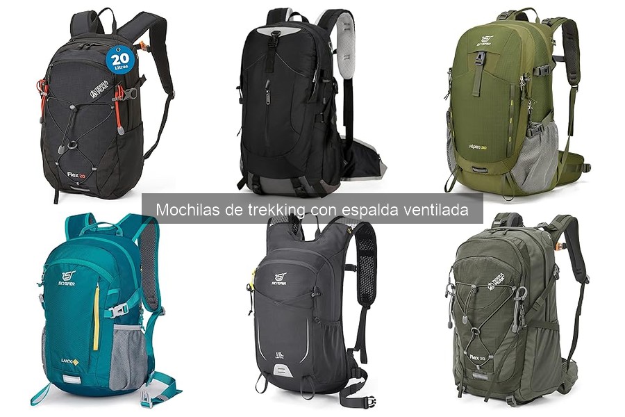 Ventajas de las mochilas de trekking con espalda ventilada