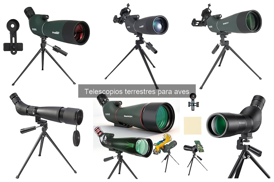 Ventajas y desventajas de usar un telescopio terrestre