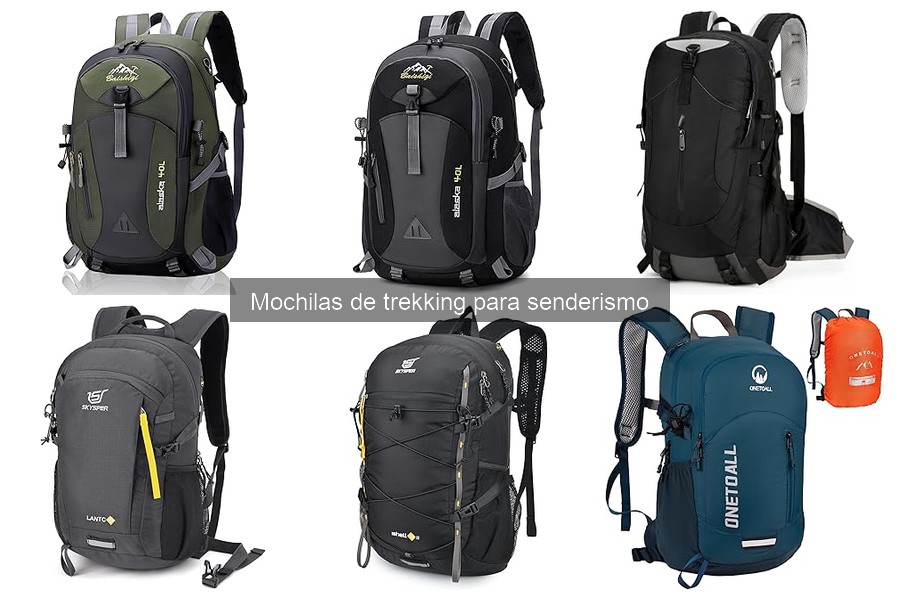 Ventajas y desventajas: Mochilas de trekking vs. mochilas de día